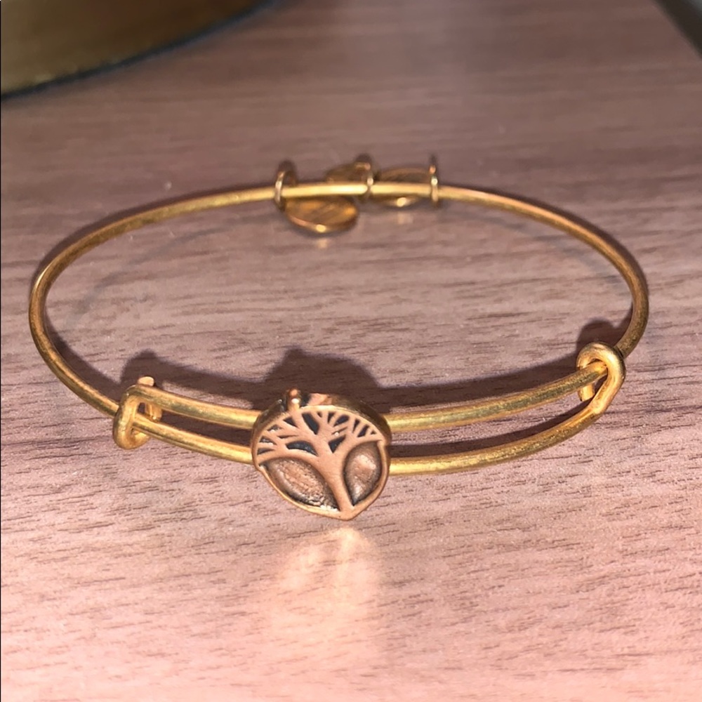 Alex and Ani bracelet